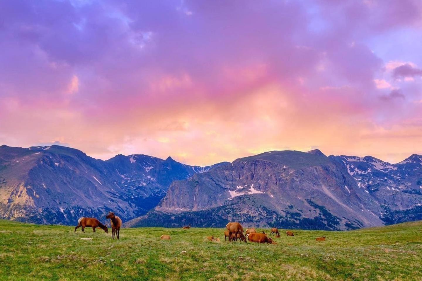 Frontier Mountain Retreat - Monthly Long-Term Vacation Rental 30 Days Minimum -- Estes Park Apts 외부 사진