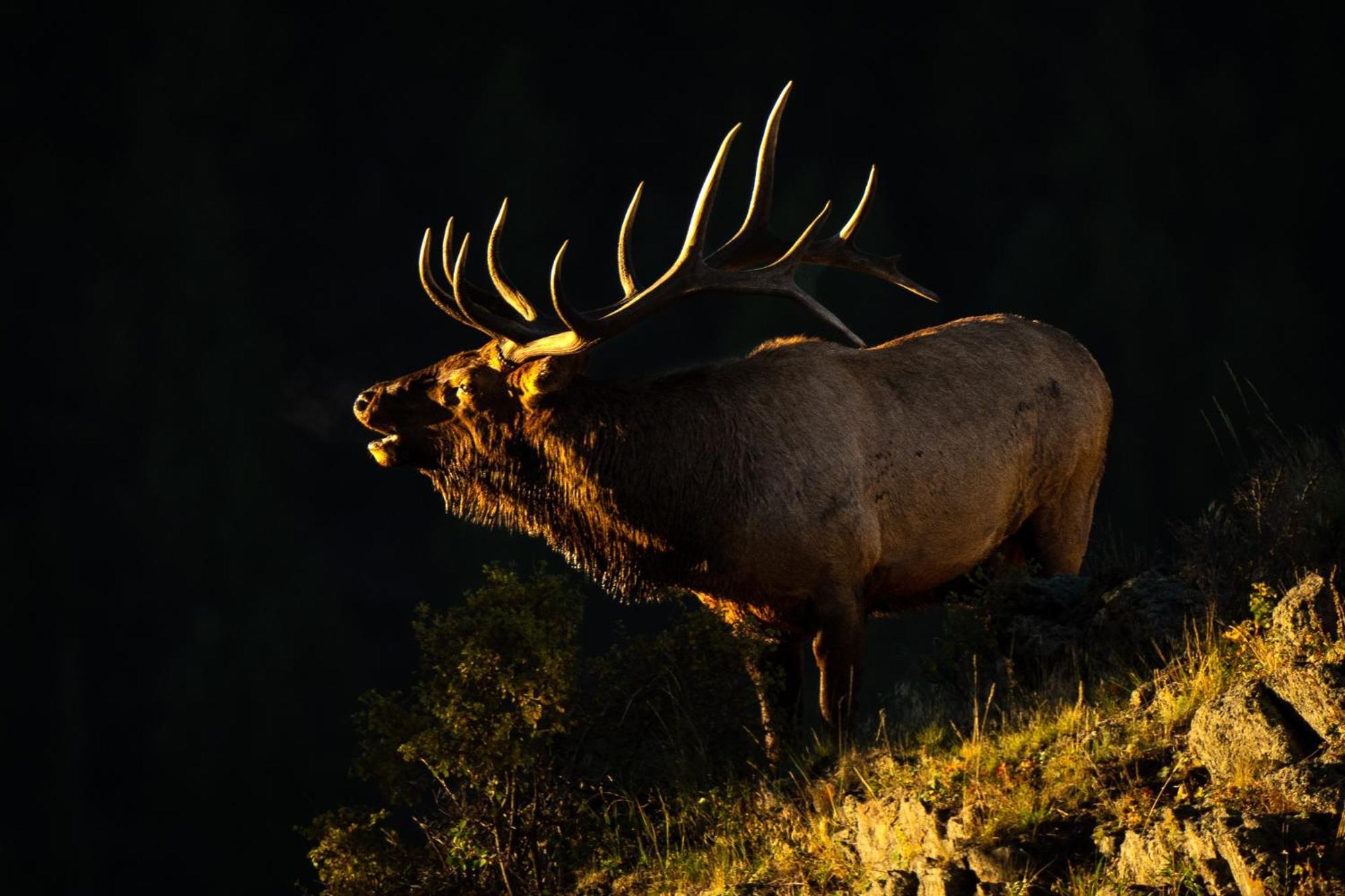 Frontier Mountain Retreat - Monthly Long-Term Vacation Rental 30 Days Minimum -- Estes Park Apts 외부 사진