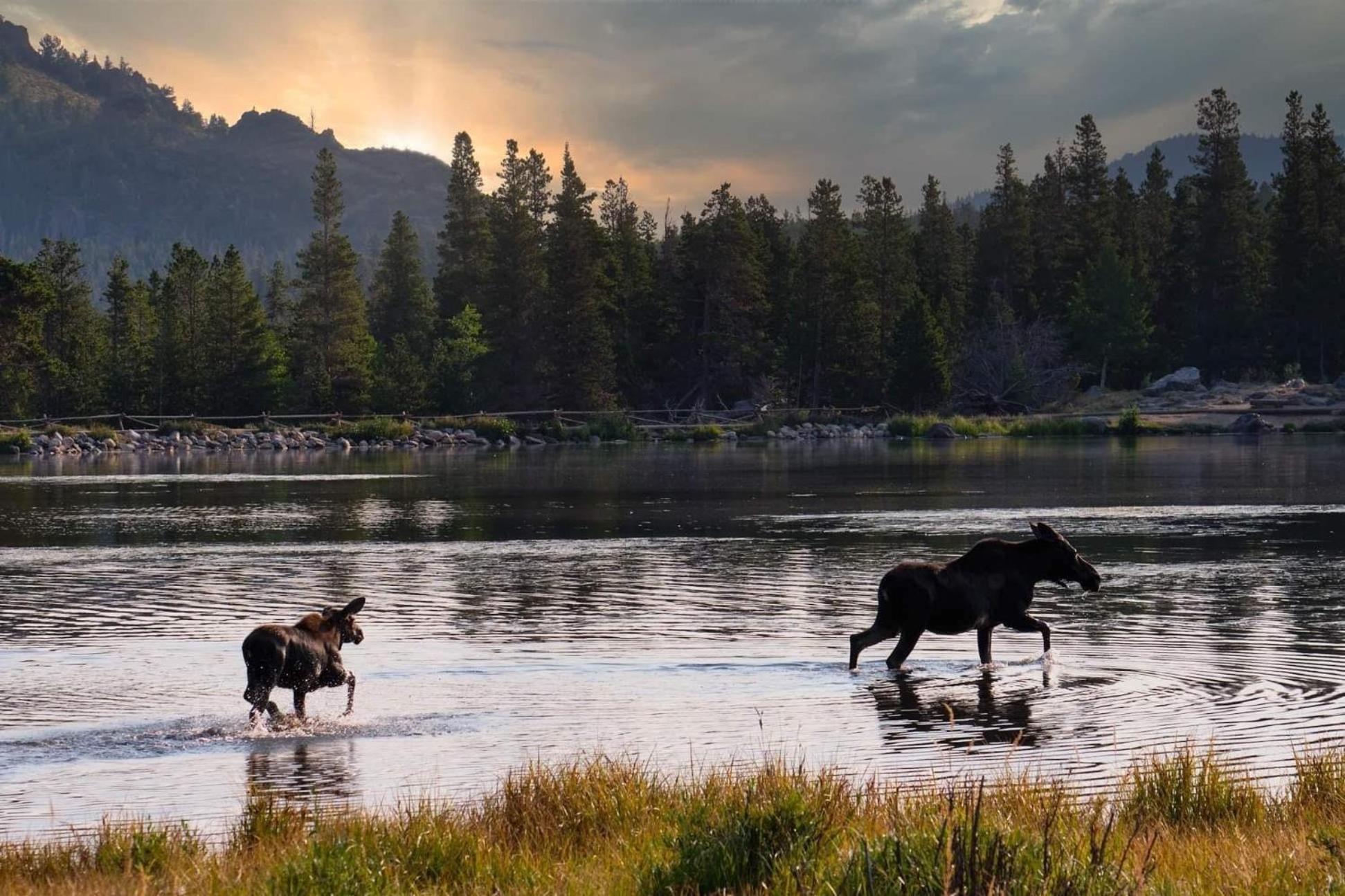 Frontier Mountain Retreat - Monthly Long-Term Vacation Rental 30 Days Minimum -- Estes Park Apts 외부 사진